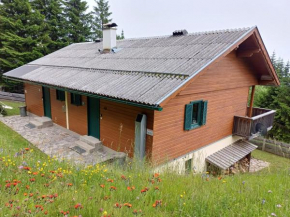Almzeit Klippitz